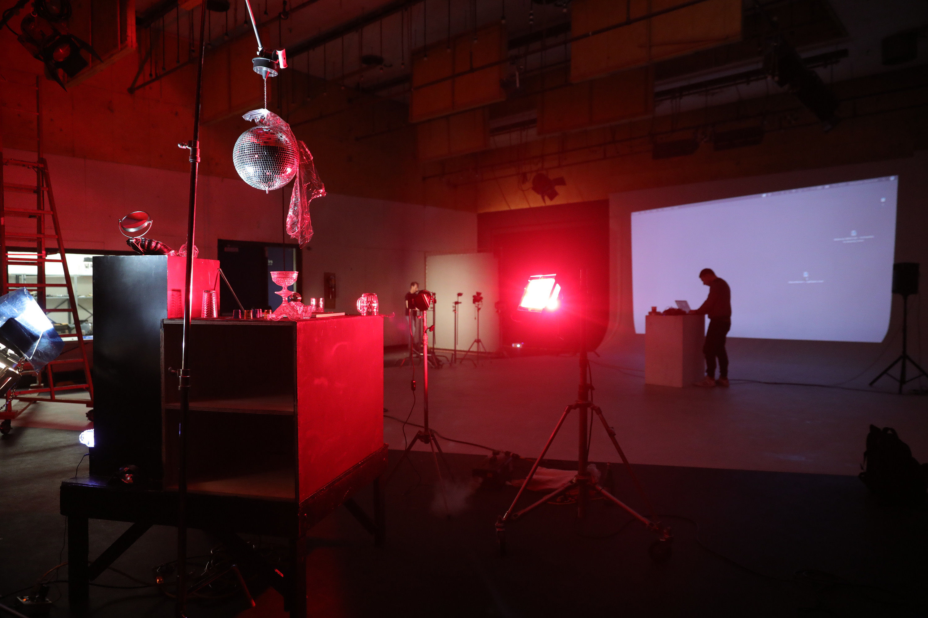 A Doctor for Animals Installation View 3
